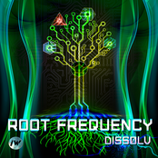 Root Frequency