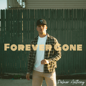 Palmer Anthony: Forever Gone