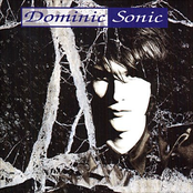 All You Men by Dominic Sonic