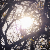 Can't Get Out of My Mind b/w Eject