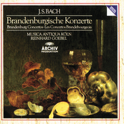Bach, J.S.: Brandenburg Concertos