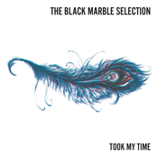 Took My Time - Single