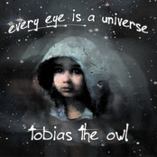 Every Eye Is a Universe
