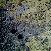 THE AVANT WANK II (HUMBONICS)