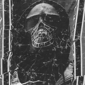 Defleshed Singularity