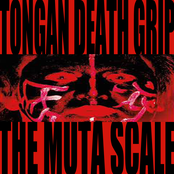 THE MUTA SCALE