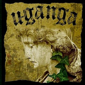 NA TRILHA DO HOMEM DE BEM