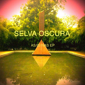The Lake by Selva Oscura