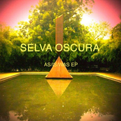 Breeze by Selva Oscura