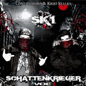 Schattenkrieger Vol 1