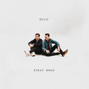 Relic: Stray Dogs