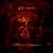 The Phantom Experience