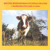 Bovine Spongiform Encephalopathy