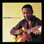 Look What You've Done by Muddy Waters