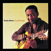 My Eyes (keep Me In Trouble) by Muddy Waters