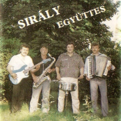 Sirály Együttes