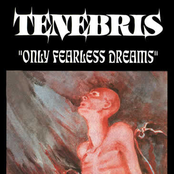 Only Fearless Dreams by Tenebris