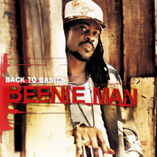Beenie Man: Back to Basics
