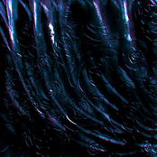 Magnolia's Shadow; Walking