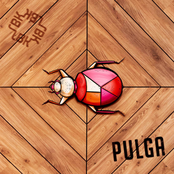 Pulga