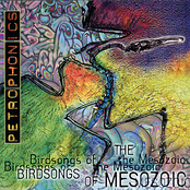 Petrophonics by Birdsongs Of The Mesozoic