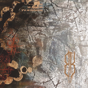 Epidermis Sessions I