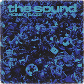 The Sound