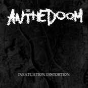 Infatuation Distortion