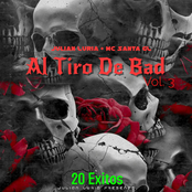 Al Tiro De Bad, Vol. 3 (20 Exitos)