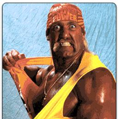 hulk hogan