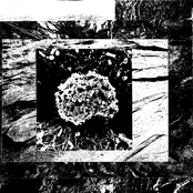 Blood Memories: Awakening