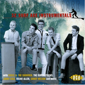 Toes On The Nose: 32 Surf Age Instrumentals