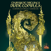 Transient Nature II - Divine Complex