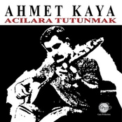 Acılara Tutunmak