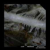 Winter Descends Upon A World Of Ashes