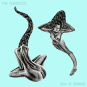 The Verigolds: Sea of Zebras