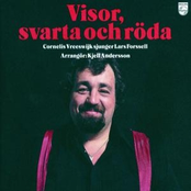 visor, svarta och röda