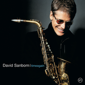 David Sanborn: Time Again