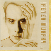 Peter Murphy: Love Hysteria