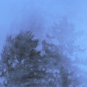 Black Forest/Suit Of Knives - 7"