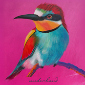 scenes from wherever