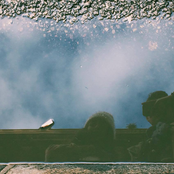 Tu Dime Donde, A La Mierda Vamos (Demos)