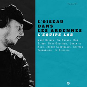 L'Oiseau Dans Les Ardennes