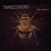 Settle For The Storm by Three Chord Society