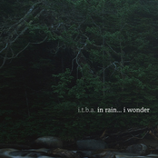 In Rain... I Wonder