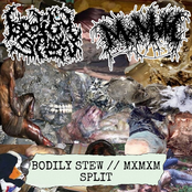 BODILY STEW//MXMXM SPLIT (MXMXM SIDE)