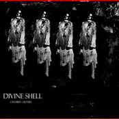 Divine Shell