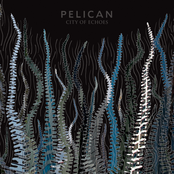 Winds With Hands by Pelican
