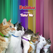 Take Me (Take Me)