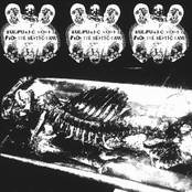 Post-Mortem Defleshing By Ascarids